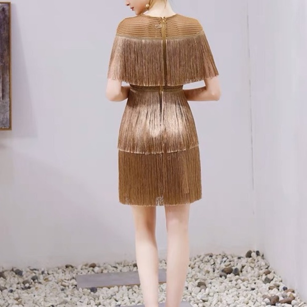 ASHLEY TASSEL DRESS PARTY DRESS - Picture 8 of 14